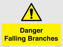 danger-falling-branches~